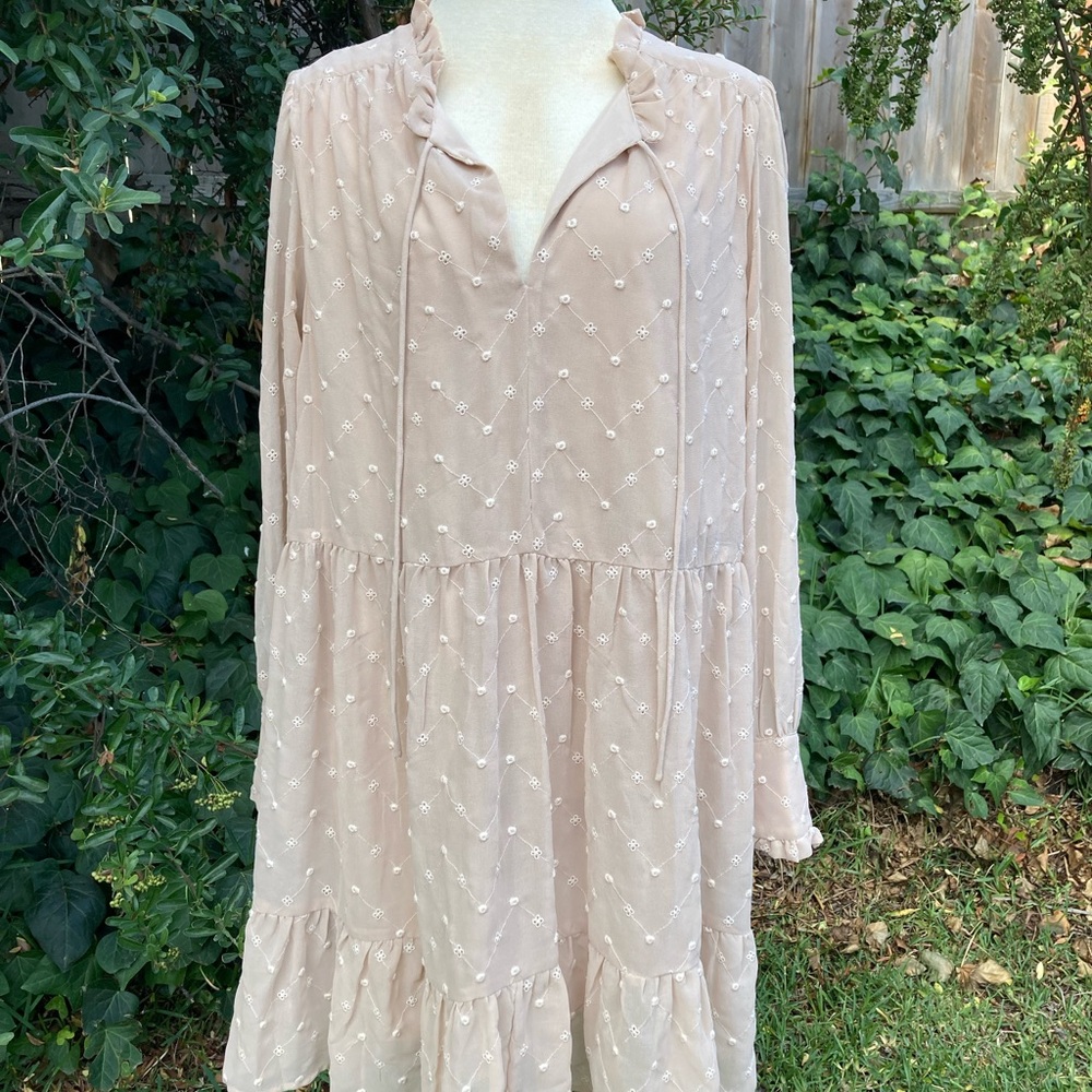 H&M Embroidered Dress in Light Beige - Picture 2 of 7